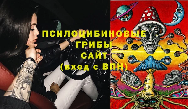 PSILOCYBIN Абдулино